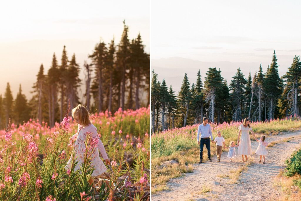 family of five in light formal summer clothes on top of the mountain at golden hour playing and walking through the wildflowers