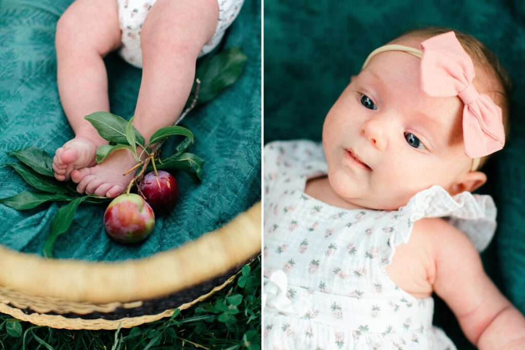 newborn portraits in the garden outside at a home in coeur d'alene idaho