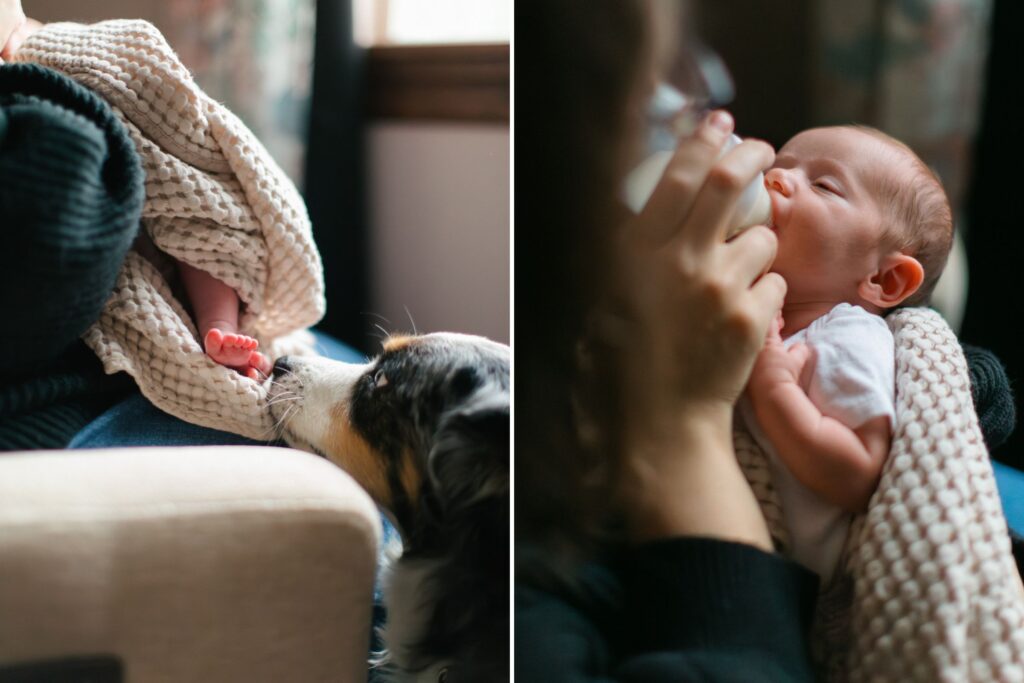 Family dog gently sniffing a sleeping newborn baby while mom gives her a bottle during an in-home lifestyle newborn photography session
