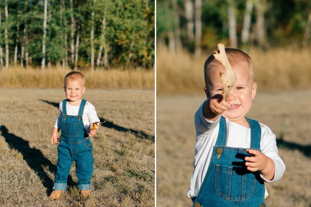 little boy smiling and playing with leaves in the fall in a park in north idaho